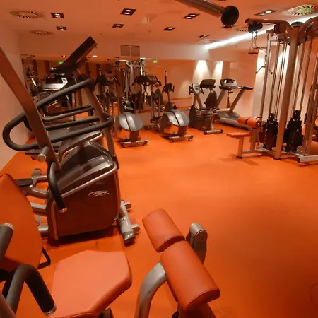 ディヴィヌス 5* デブレツェン