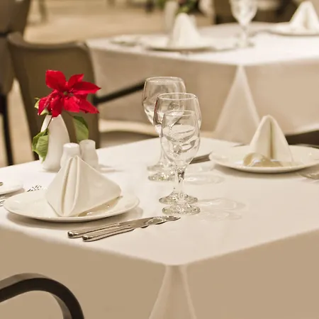 ディヴィヌス 5* デブレツェン