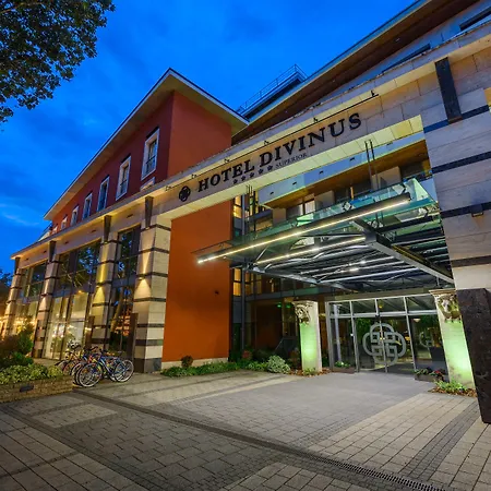 ディヴィヌス ホテル 5*