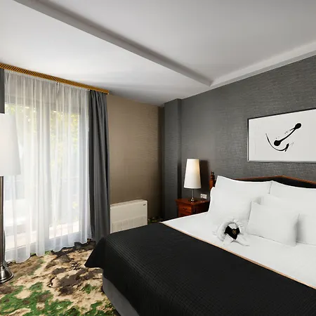 ディヴィヌス ホテル デブレツェン